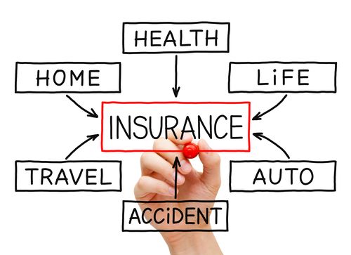 Johnson Data Insurance Industry